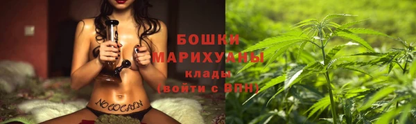 не бодяженный Елабуга