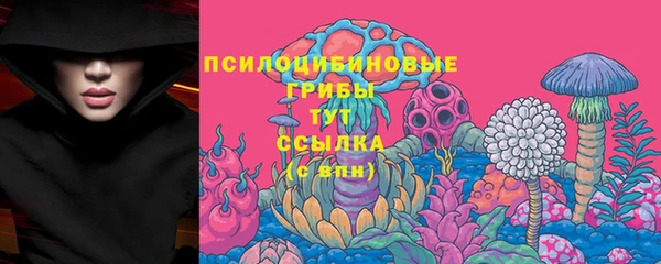 не бодяженный Елабуга