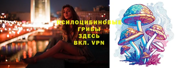 не бодяженный Елабуга