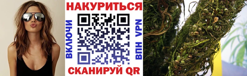 Бошки марихуана SATIVA & INDICA  магазин продажи наркотиков  Пушкино 
